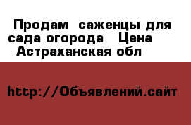 Продам  саженцы для сада огорода › Цена ­ 50 - Астраханская обл.  »    